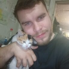 Платоша