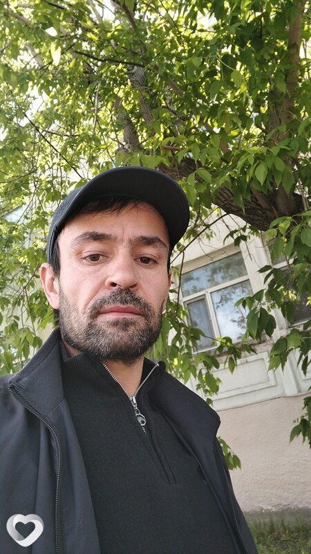 Альбик