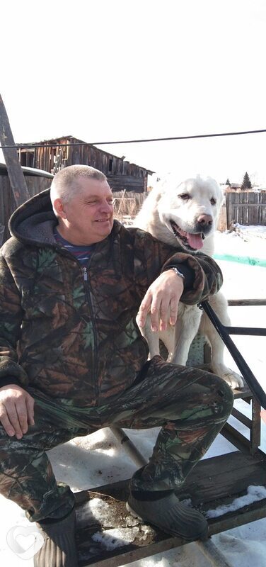 Всеволод