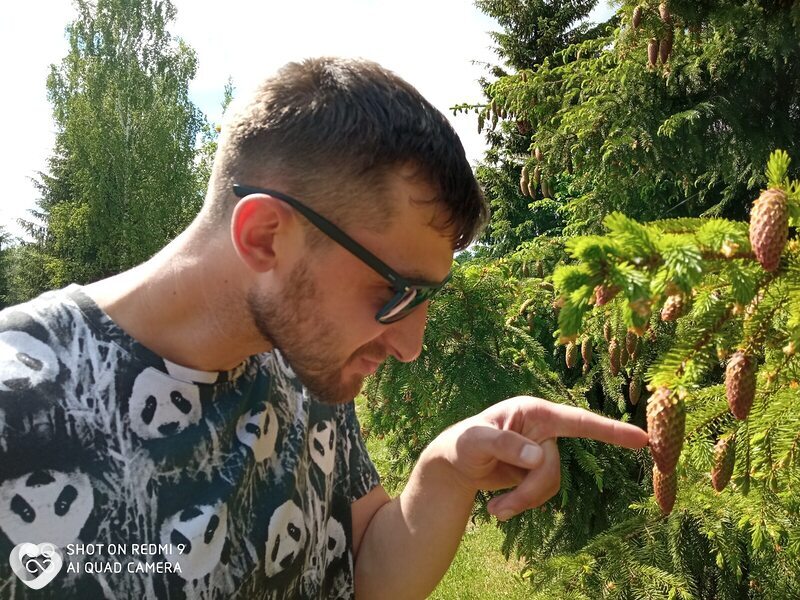 Паша