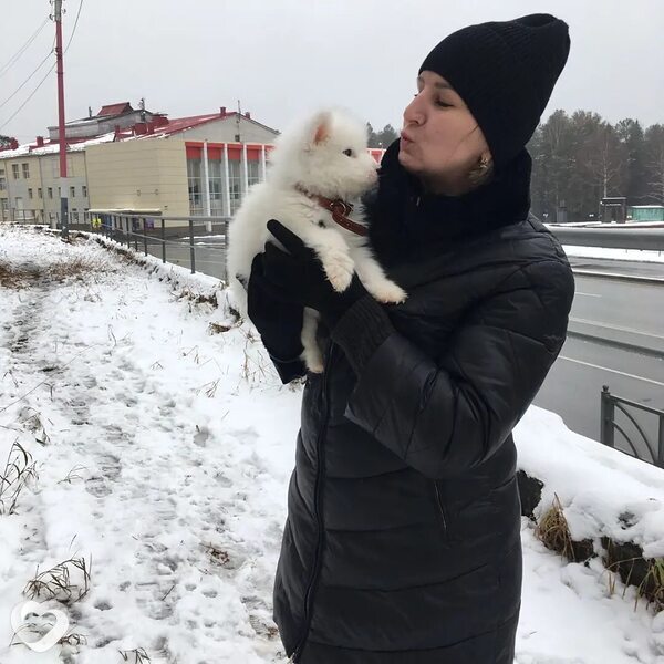 Таиса