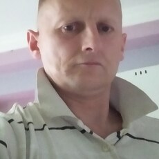 Давид