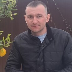 Всеволод