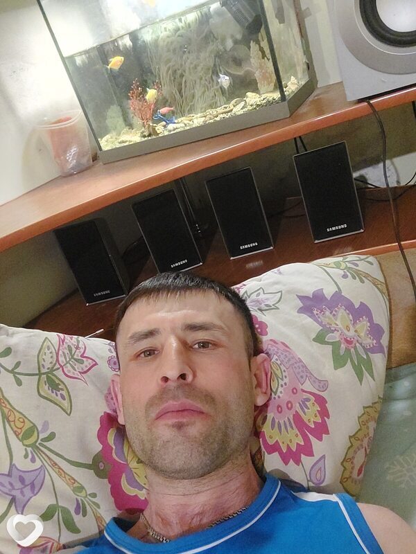 Тим