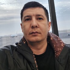 Платоша