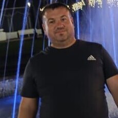 Лев