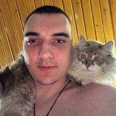 Альбик