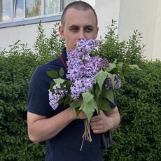 Давидик