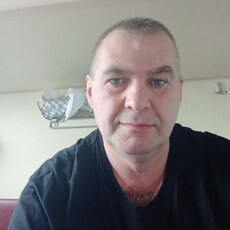 Альбик