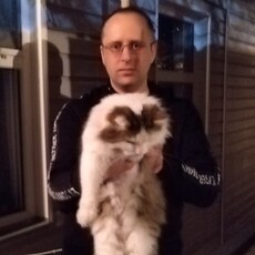 Альберт
