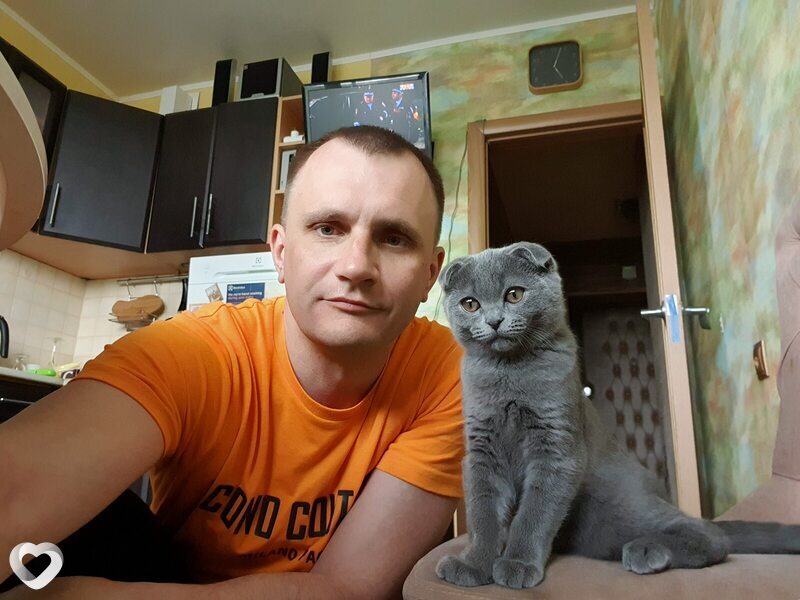 Гена