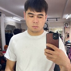 Альбик
