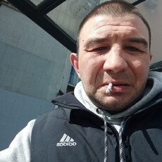 Альбик