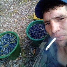 Миша